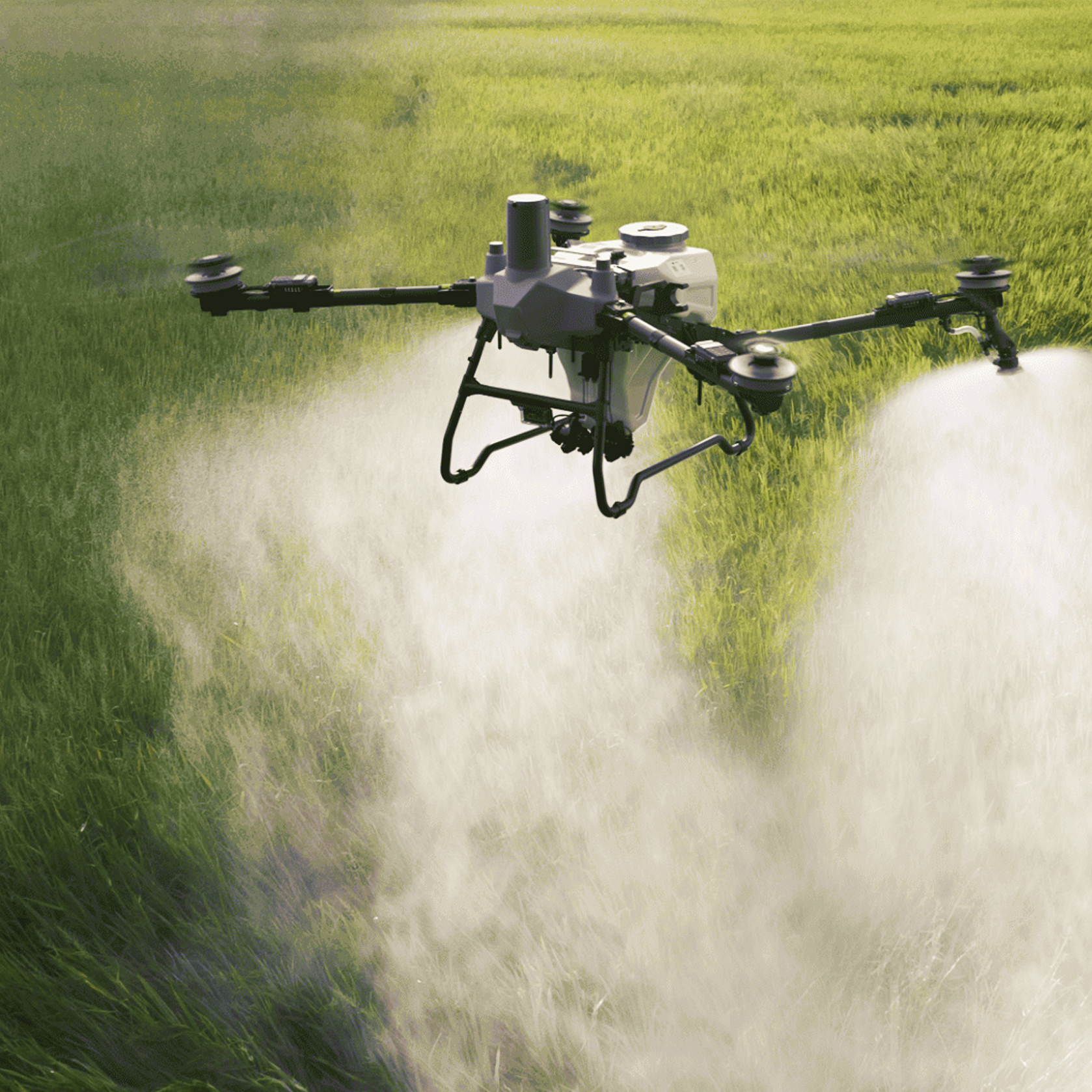 Aplikační dron při listové výživě nad zeleným porostem
